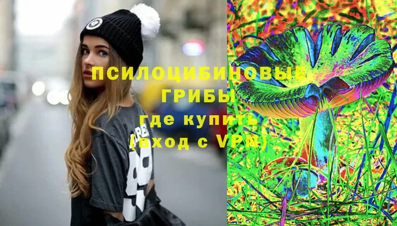 Псилоцибиновые грибы Cubensis  Люберцы 